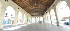 Galerie photo 
